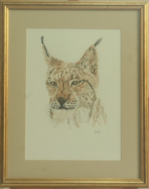 European Lynx   watercolour
